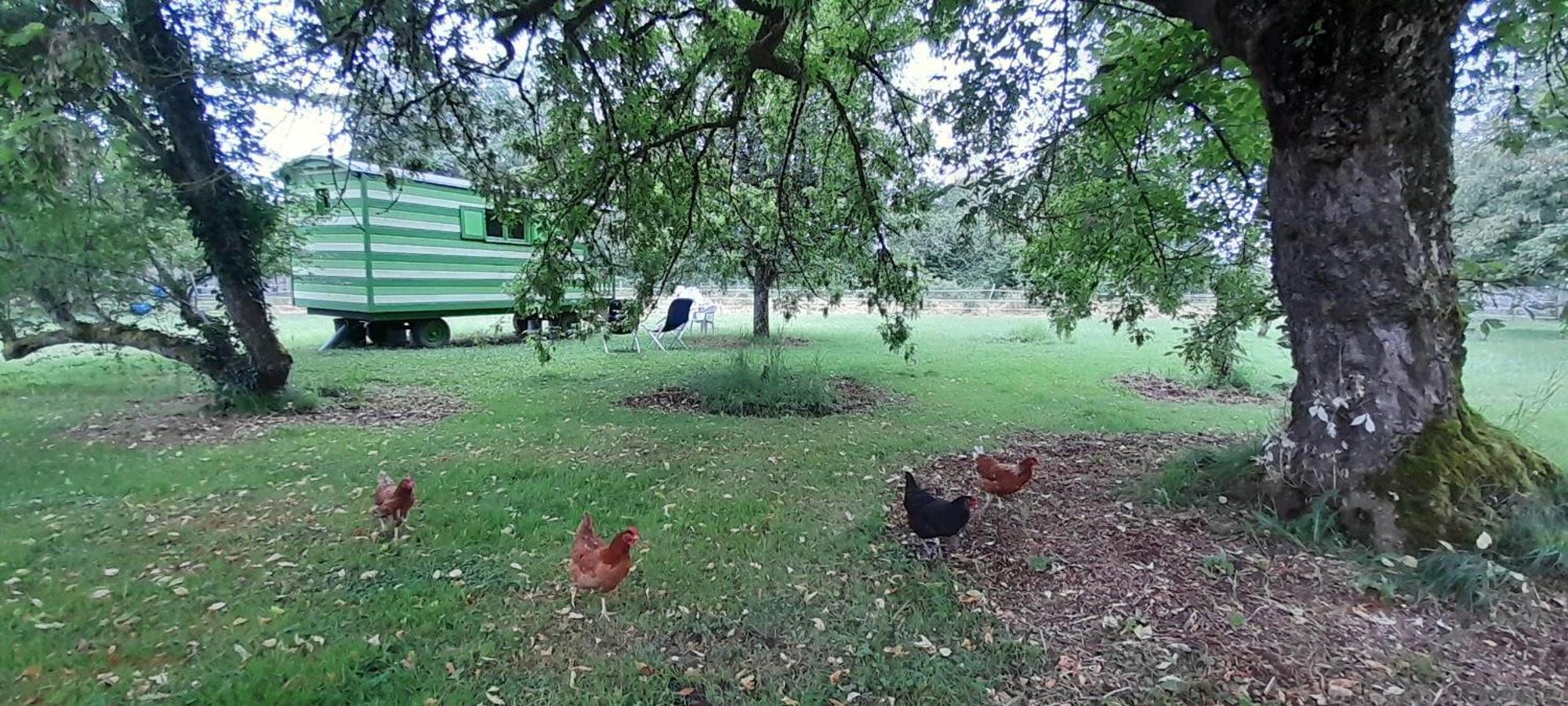 Luxury tent Roulotte Verte Pouilly-sur-Vingeanne